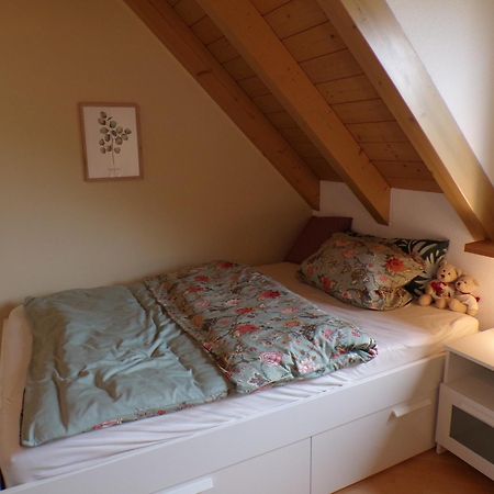 Mondfaenger Ferienwohnung , Naehe Playmobil Funpark Und Messezentrum Wilhermsdorf  Εξωτερικό φωτογραφία