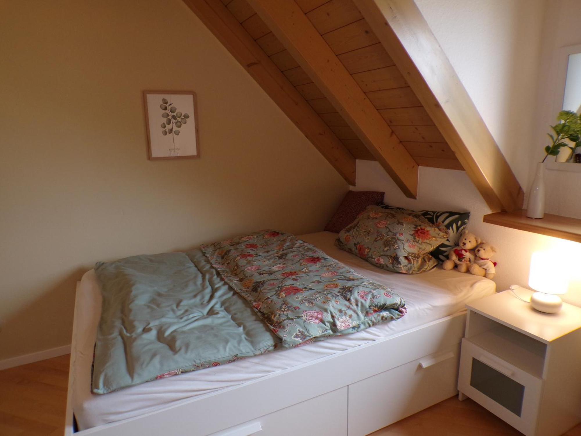 Mondfaenger Ferienwohnung , Naehe Playmobil Funpark Und Messezentrum Wilhermsdorf  Εξωτερικό φωτογραφία